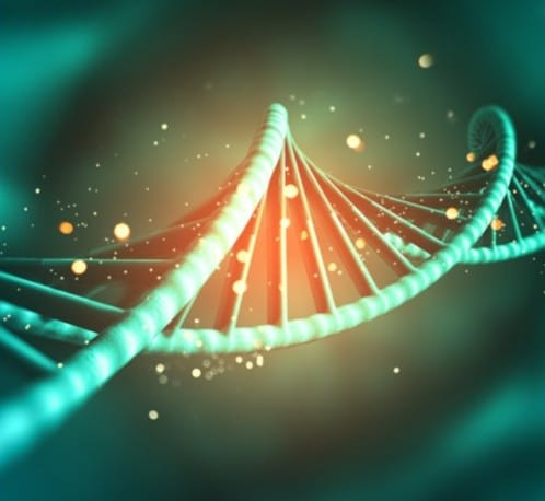 Journée annuelle des centres du test prédictif, prénatal et préimplantatoire​ : 5 Juin 2026