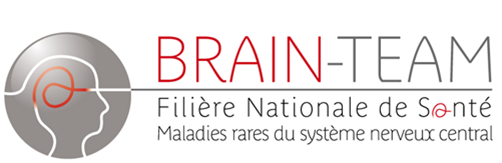 8ème Journée Nationale BRAIN-TEAM